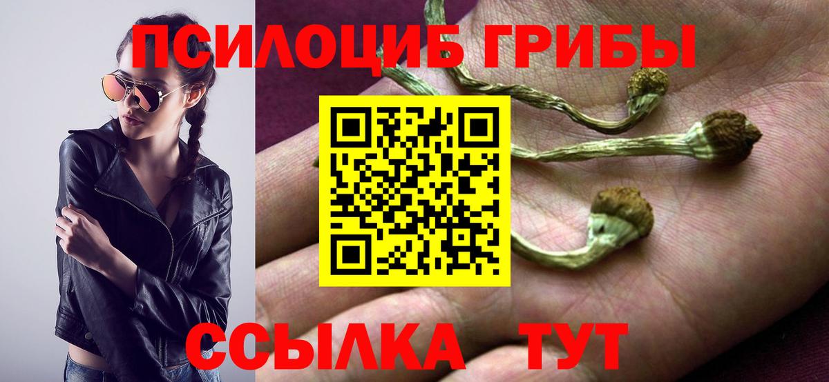 Кушва  Галлюциногенные грибы мухоморы  Вход с VPN  Галлюциногенные грибы GOLDEN TEACHER 
